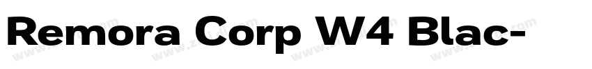 Remora Corp W4 Blac字体转换